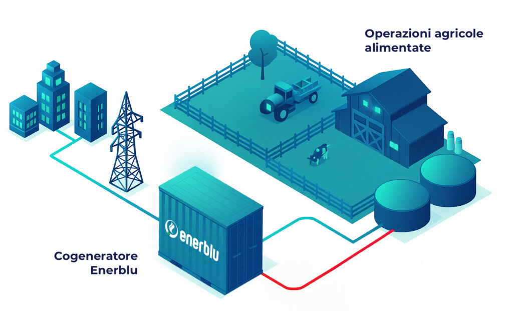 Schema grafico dagli scarti agricoli all'energia con cogeneratore Enerblu a Biogas e Biometano
