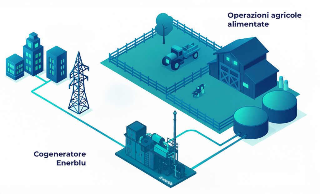 Schema grafico dagli scarti agricoli all'energia con cogeneratore Enerblu a Biogas e Biometano